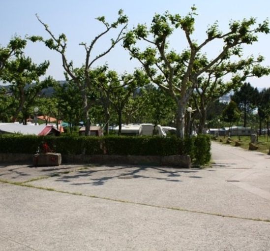 Camping O'Espiño arboles
