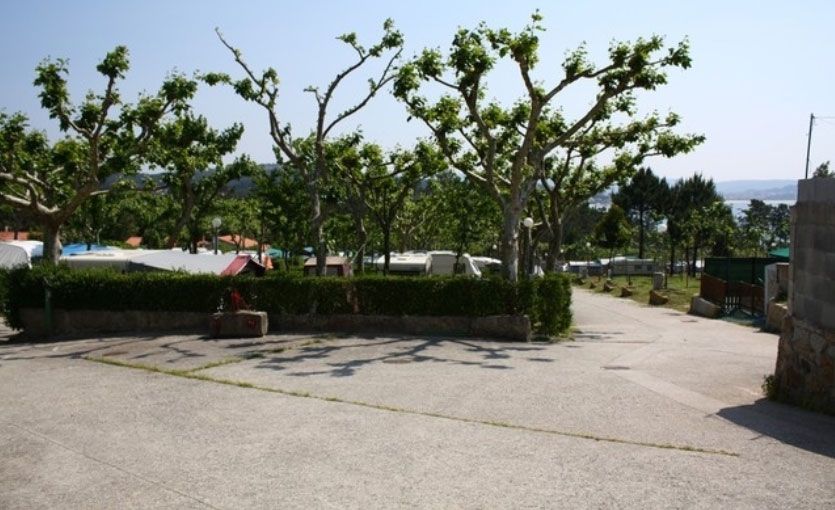 Camping O'Espiño arboles